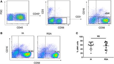 Decreased Human Leukocyte Antigen-G Expression by miR-133a Contributes to Impairment of Proinvasion and Proangiogenesis Functions of Decidual NK Cells